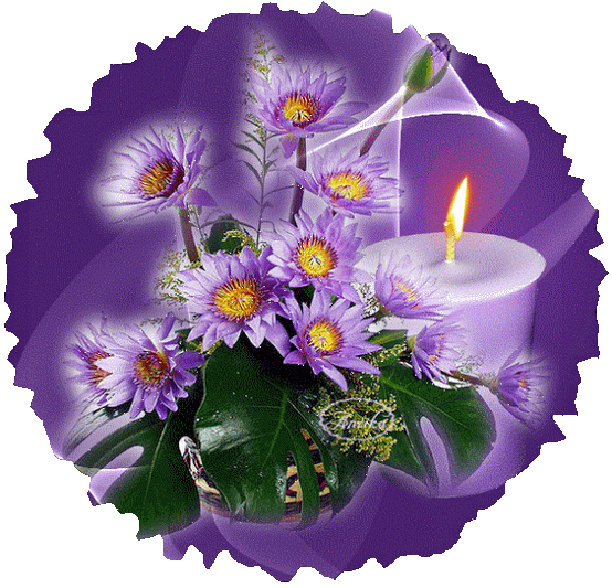 Fleur fond violet bougie gif 04