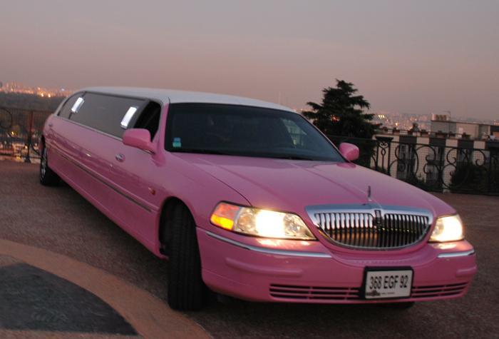 Lincol limousine rose